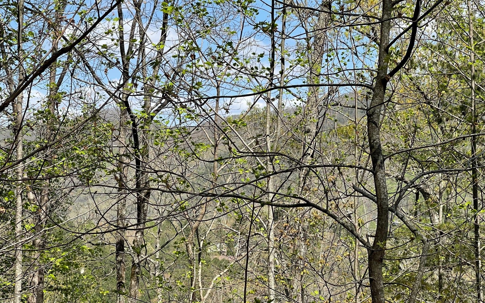 Lot 8D Eagle Heights, Hiawassee GA 30546 - Photo