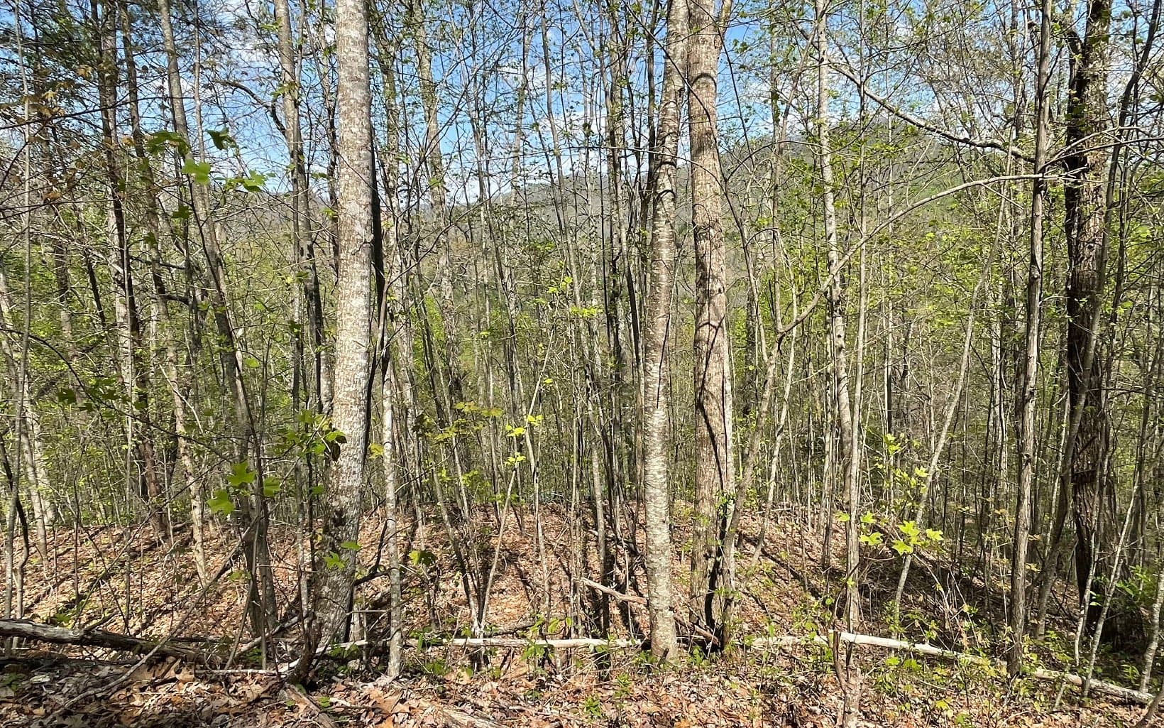Lot 8D Eagle Heights, Hiawassee GA 30546 - Photo