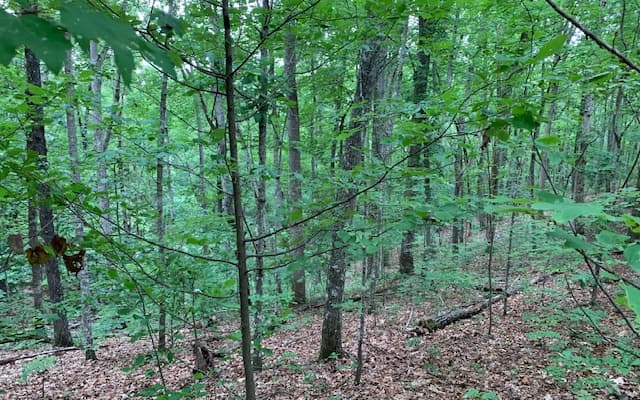 Lot 18 Bruce Mountain, Blairsville GA 30512 - Photo