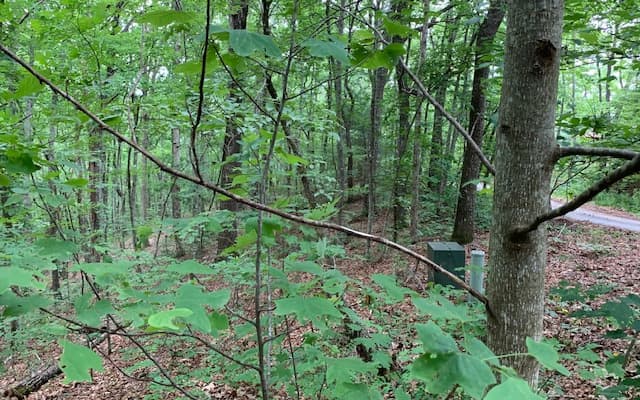 Lot 18 Bruce Mountain, Blairsville GA 30512 - Photo