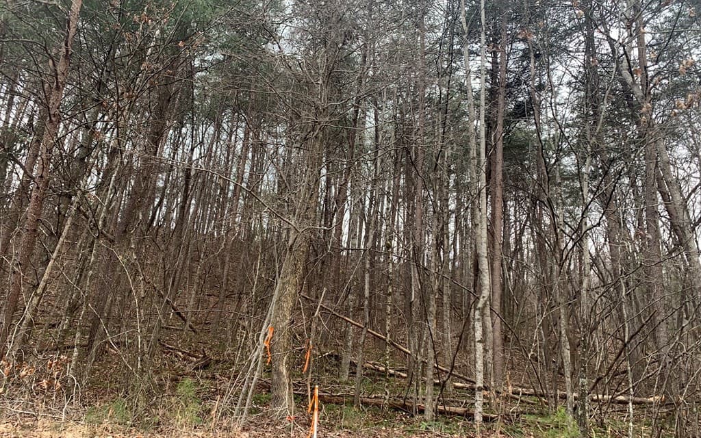 LOT20 Wolf Ridge Lane, Murphy NC 28906 - Photo