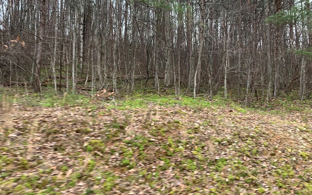 LOT20 Wolf Ridge Lane, Murphy NC 28906 - Photo