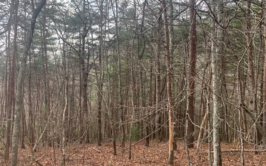 LOT20 Wolf Ridge Lane, Murphy NC 28906 - Photo