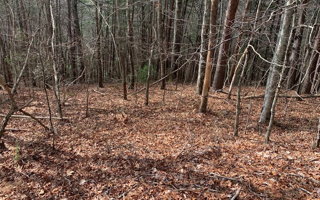 LOT20 Wolf Ridge Lane, Murphy NC 28906 - Photo