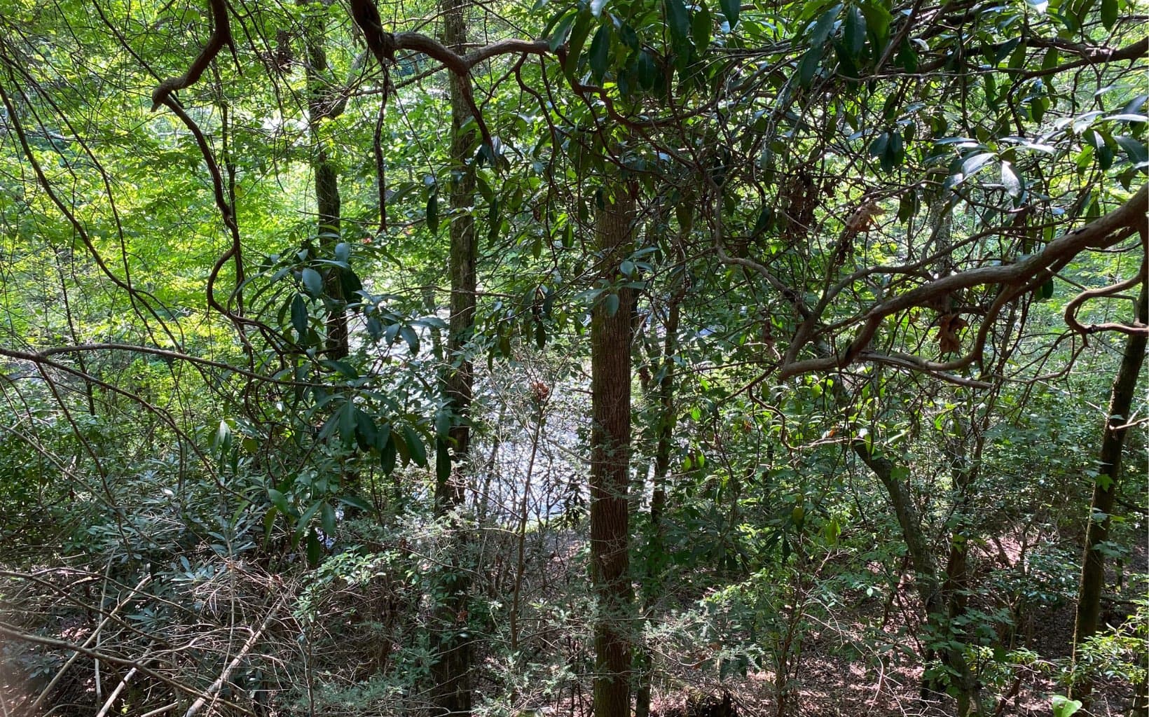 Lot 645 Wedowee Ct (Lot 645), Ellijay GA 30540 - Photo