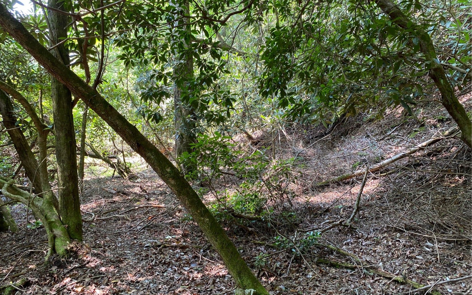 Lot 645 Wedowee Ct (Lot 645), Ellijay GA 30540 - Photo