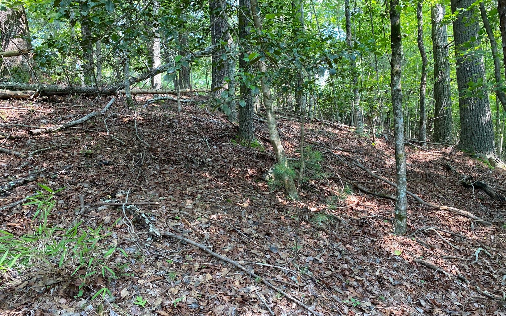 Lot 645 Wedowee Ct (Lot 645), Ellijay GA 30540 - Photo