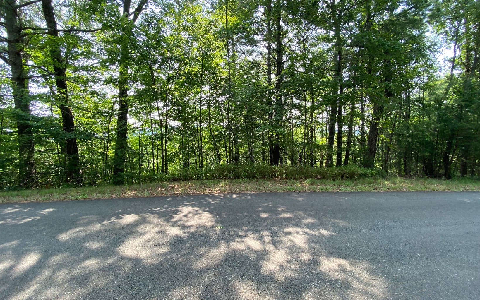 Lot 645 Wedowee Ct (Lot 645), Ellijay GA 30540 - Photo