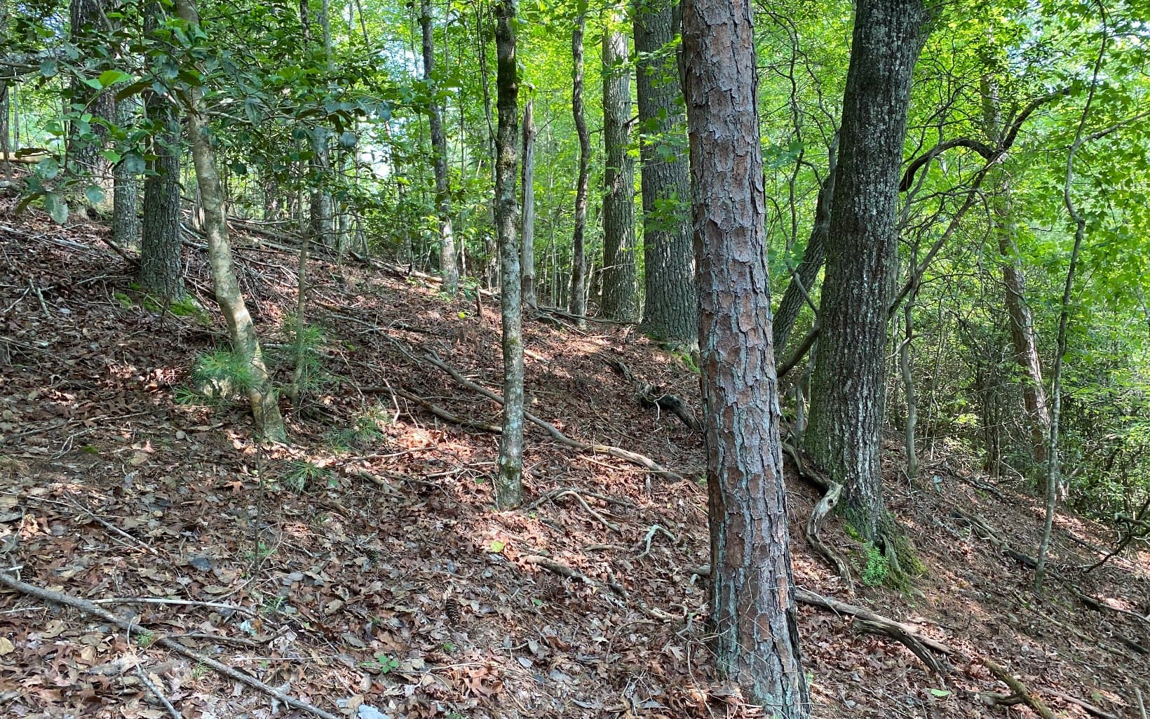 Lot 645 Wedowee Ct (Lot 645), Ellijay GA 30540 - Photo
