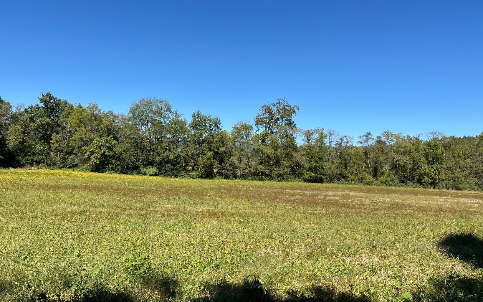 37+AC Jarrett Road, Hayesville NC 28904 - Photo
