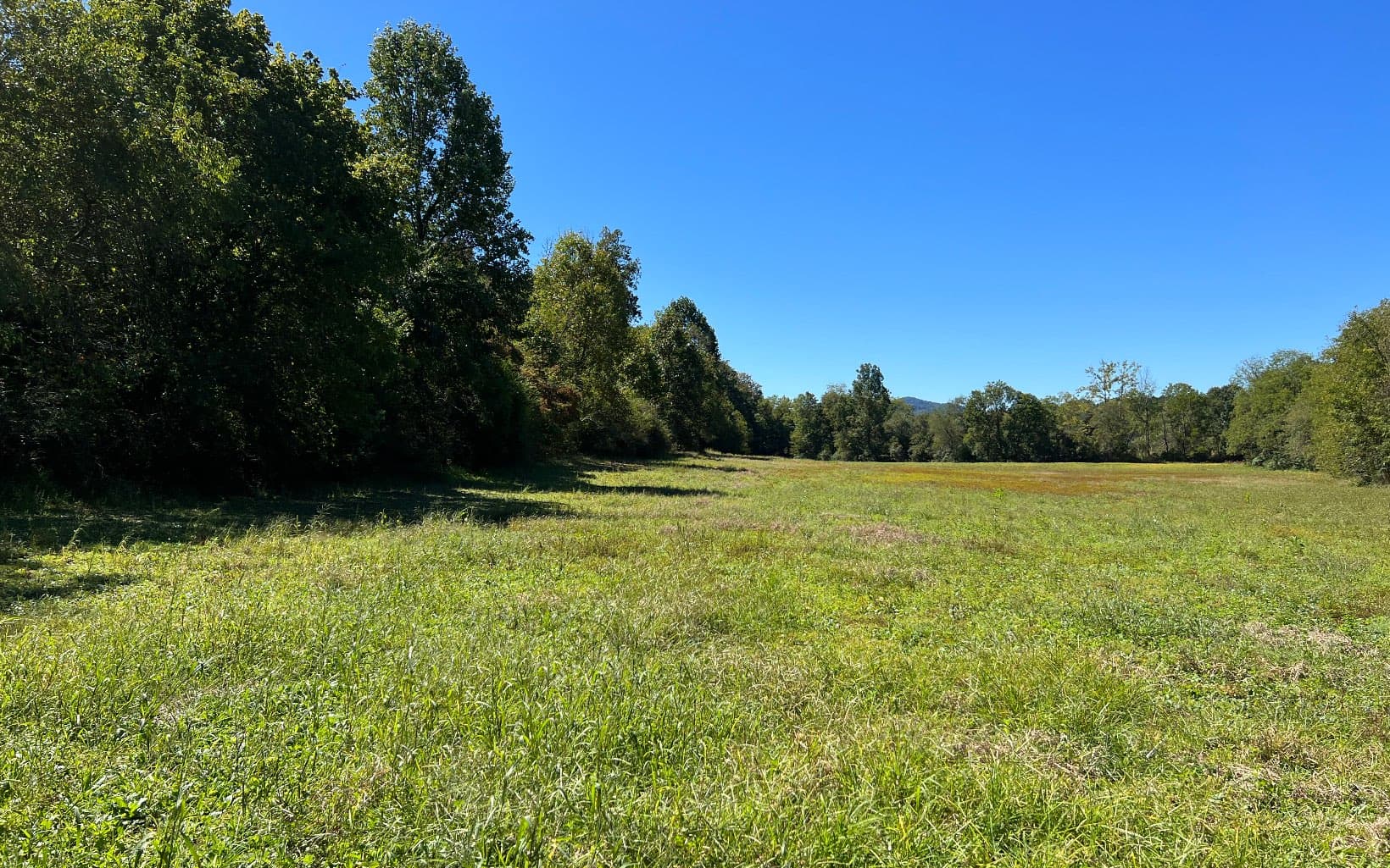 37+AC Jarrett Road, Hayesville NC 28904 - Photo
