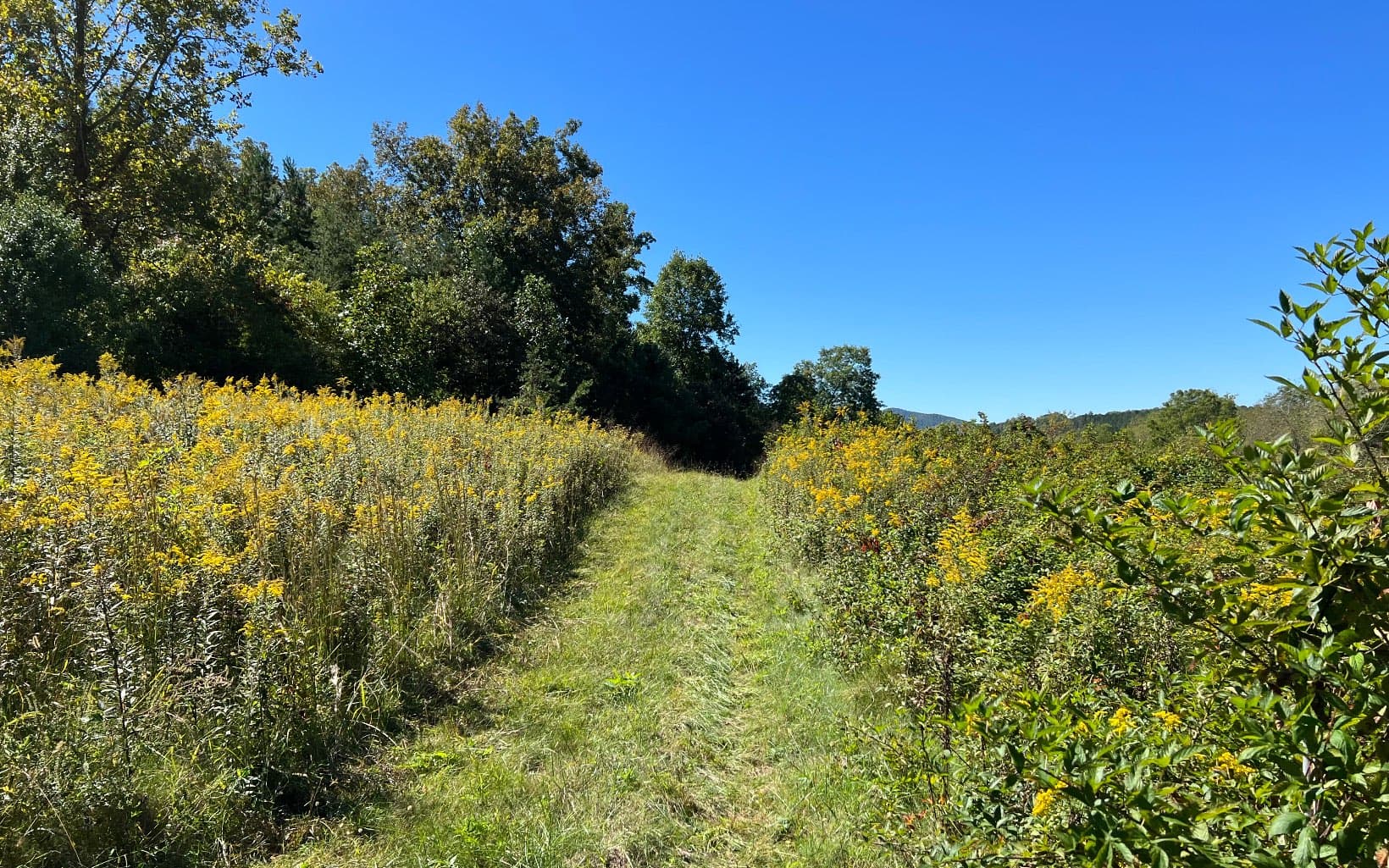 37+AC Jarrett Road, Hayesville NC 28904 - Photo