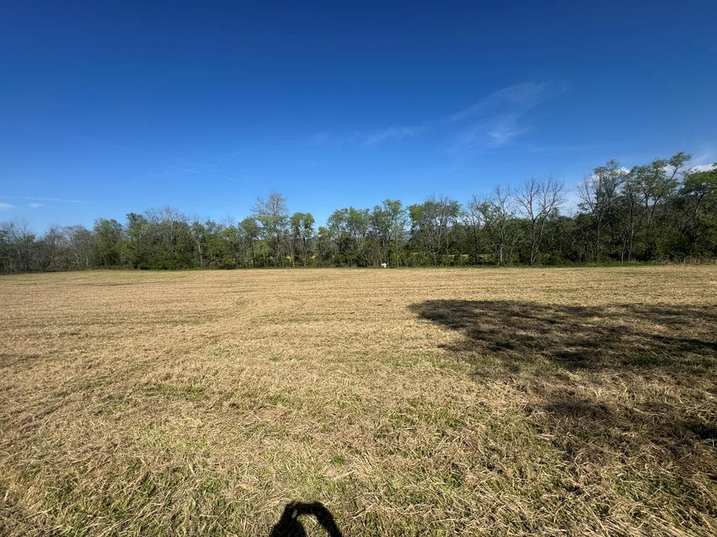 37+AC Jarrett Road, Hayesville NC 28904 - Photo