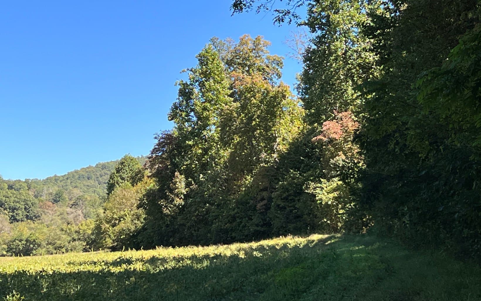 37+AC Jarrett Road, Hayesville NC 28904 - Photo