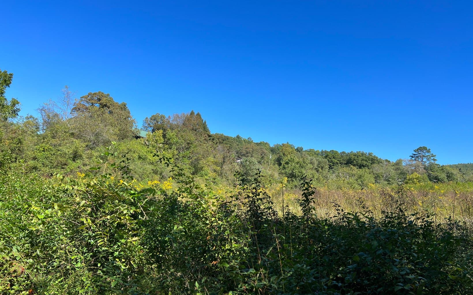 37+AC Jarrett Road, Hayesville NC 28904 - Photo