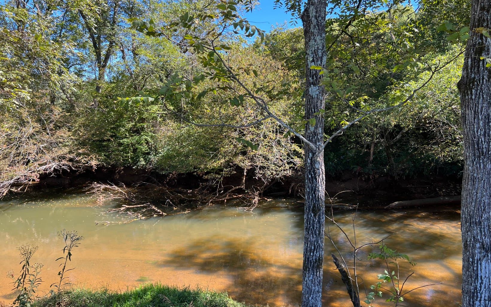 37+AC Jarrett Road, Hayesville NC 28904 - Photo