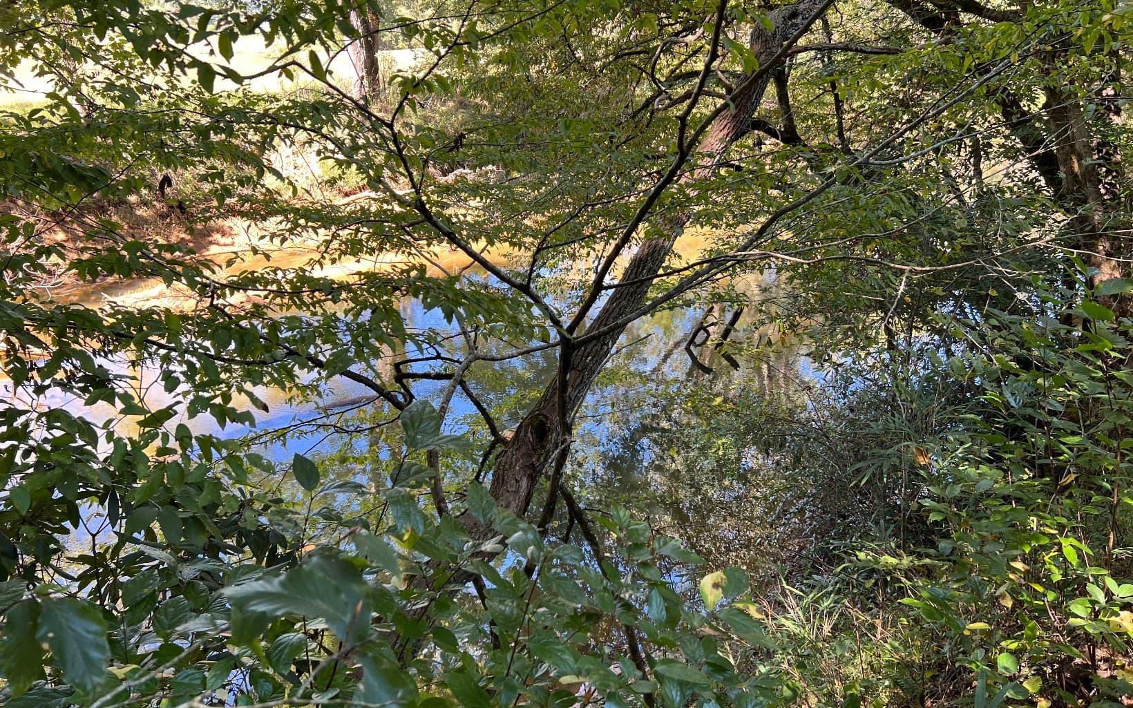 37+AC Jarrett Road, Hayesville NC 28904 - Photo