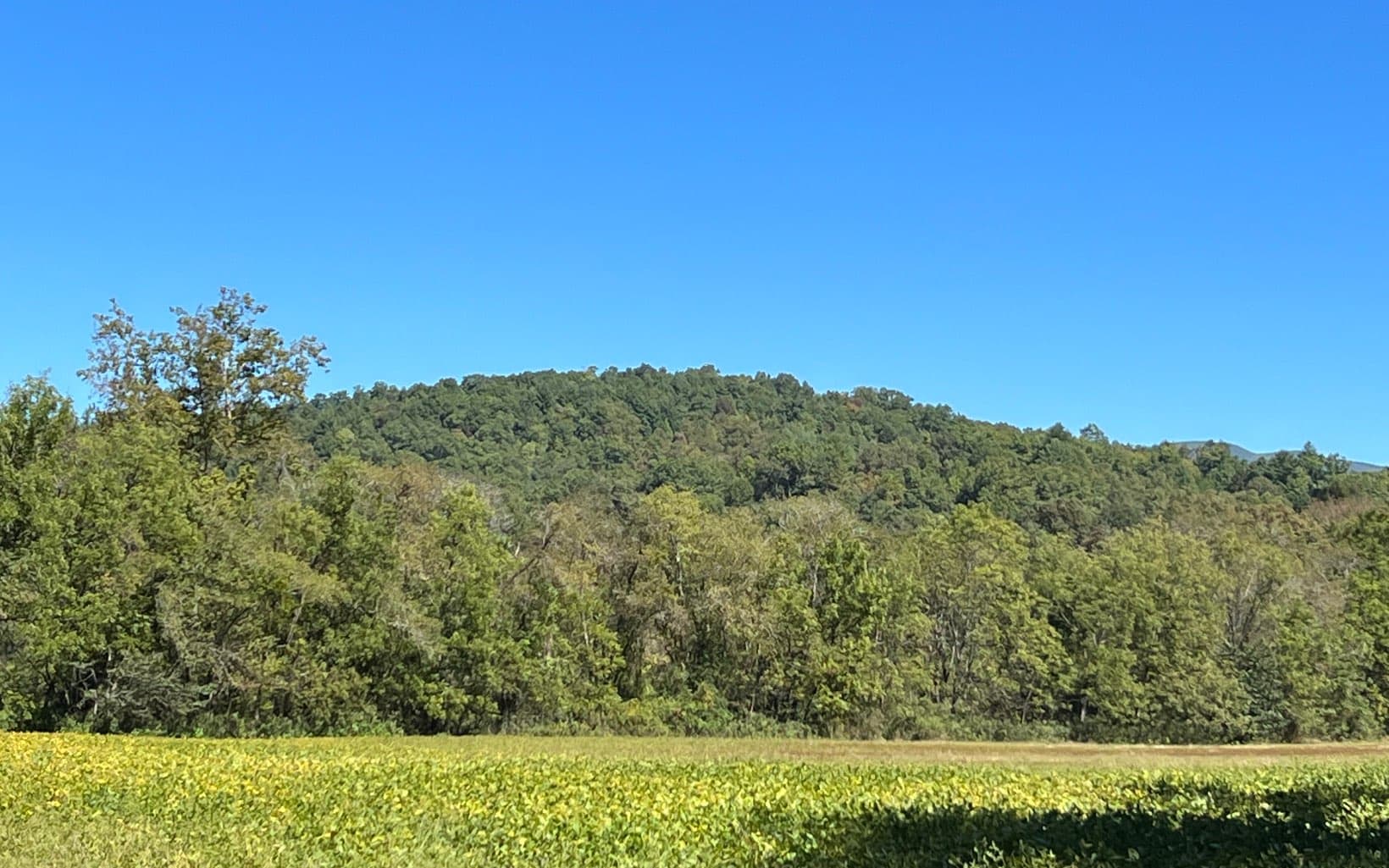 37+AC Jarrett Road, Hayesville NC 28904 - Photo