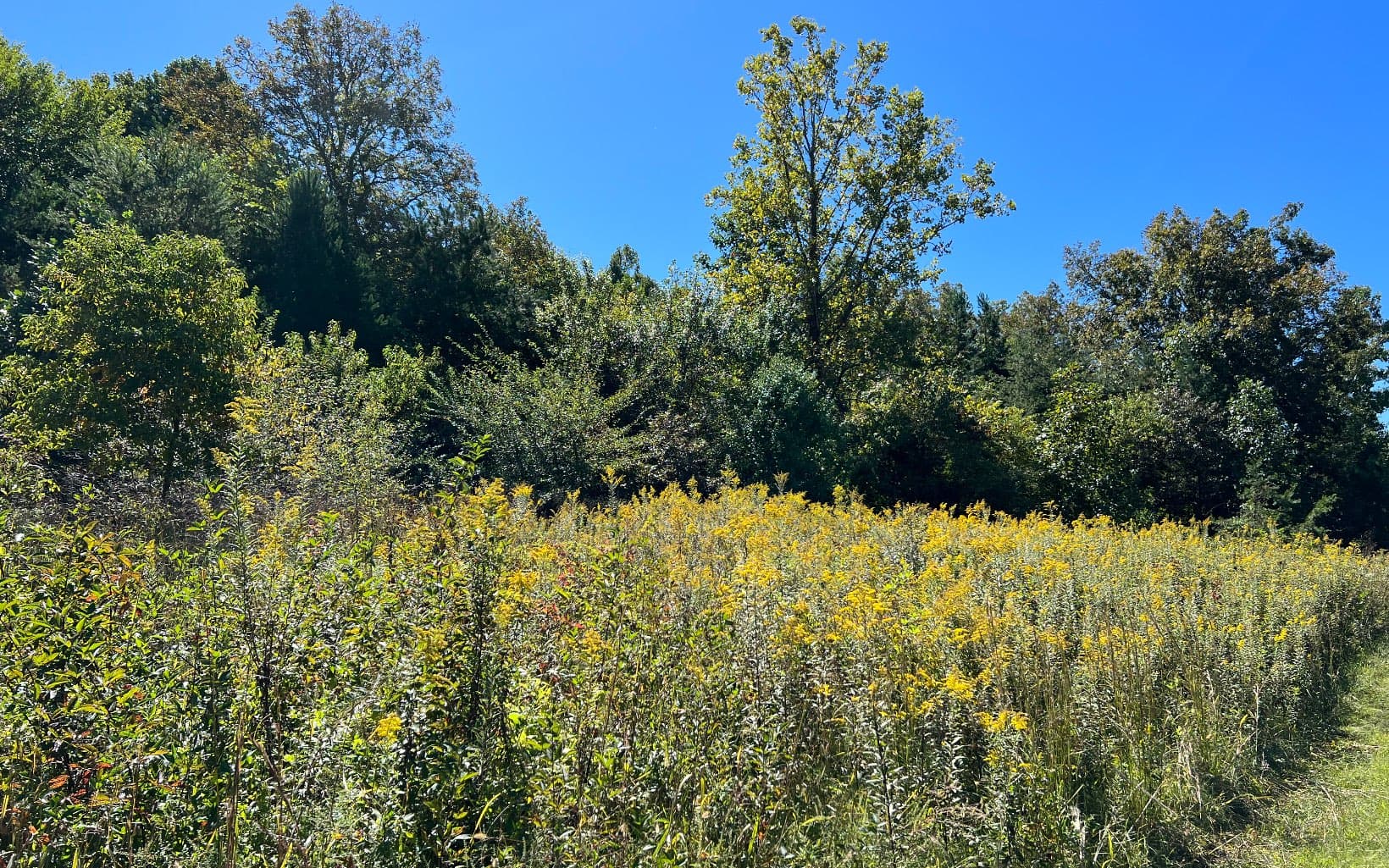 37+AC Jarrett Road, Hayesville NC 28904 - Photo