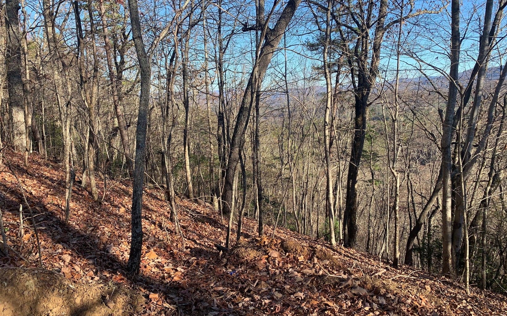 LOT25 Laurel Mountain Drive, Brasstown NC 28902 - Photo