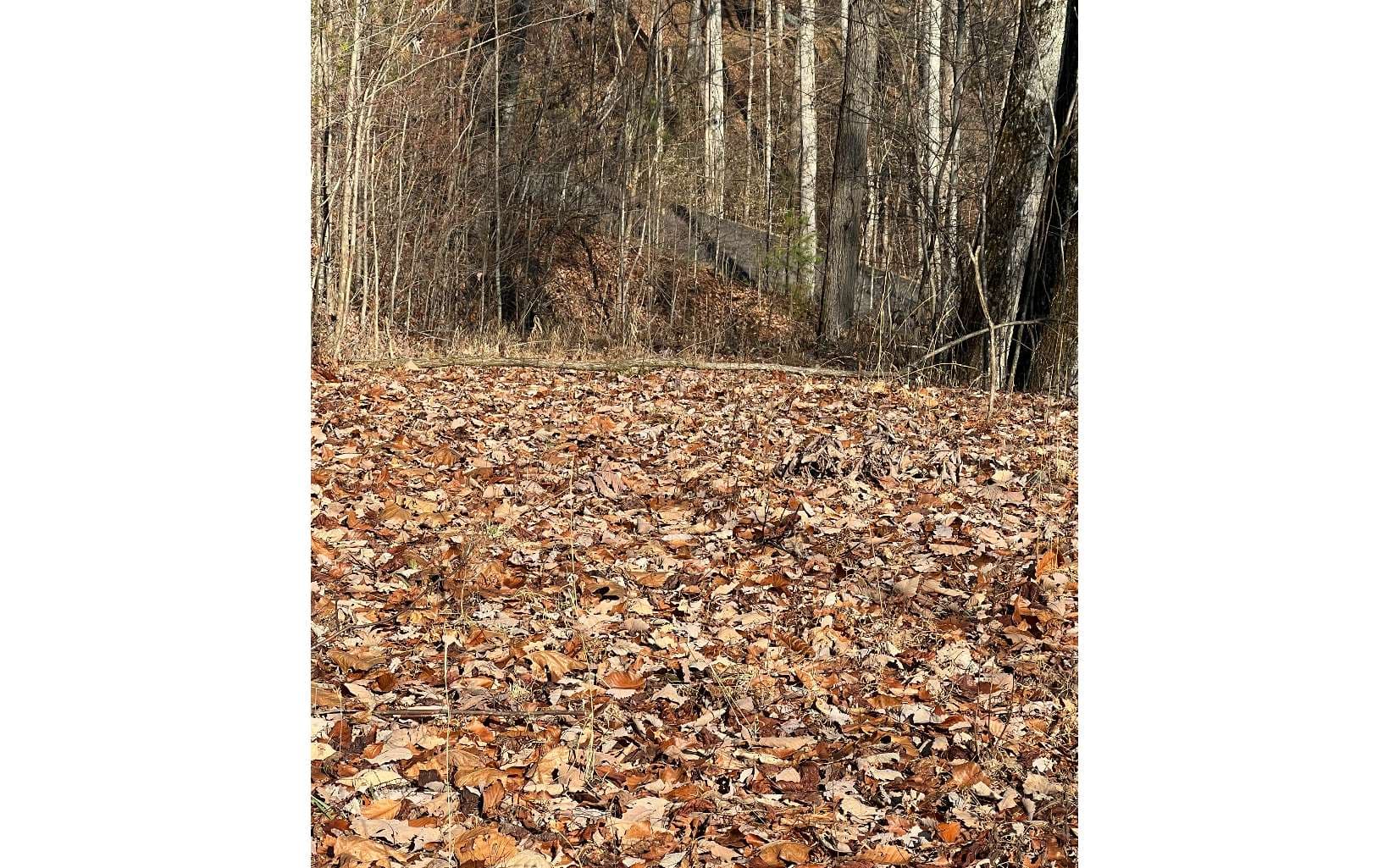 56C Indian Trail, Hayesville NC 28904 - Photo