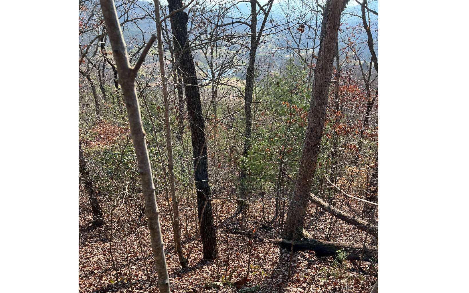 56C Indian Trail, Hayesville NC 28904 - Primary photo