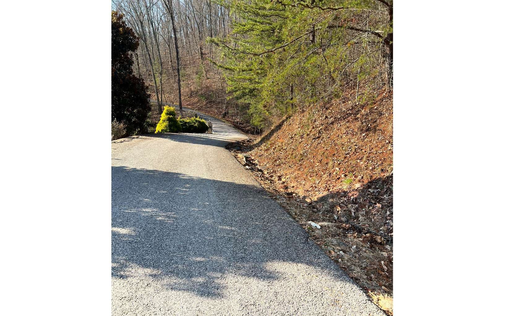 56C Indian Trail, Hayesville NC 28904 - Photo