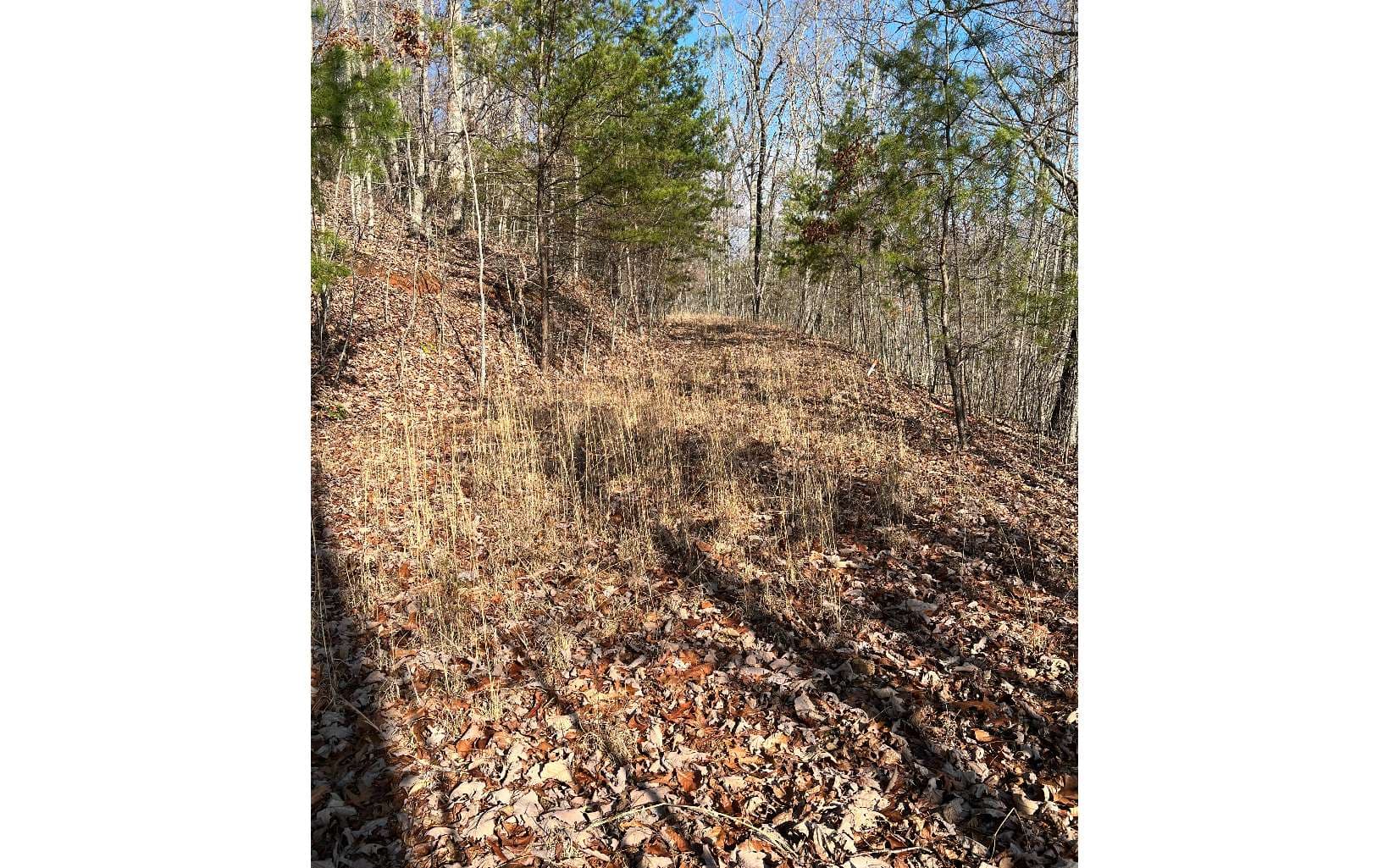 56C Indian Trail, Hayesville NC 28904 - Photo