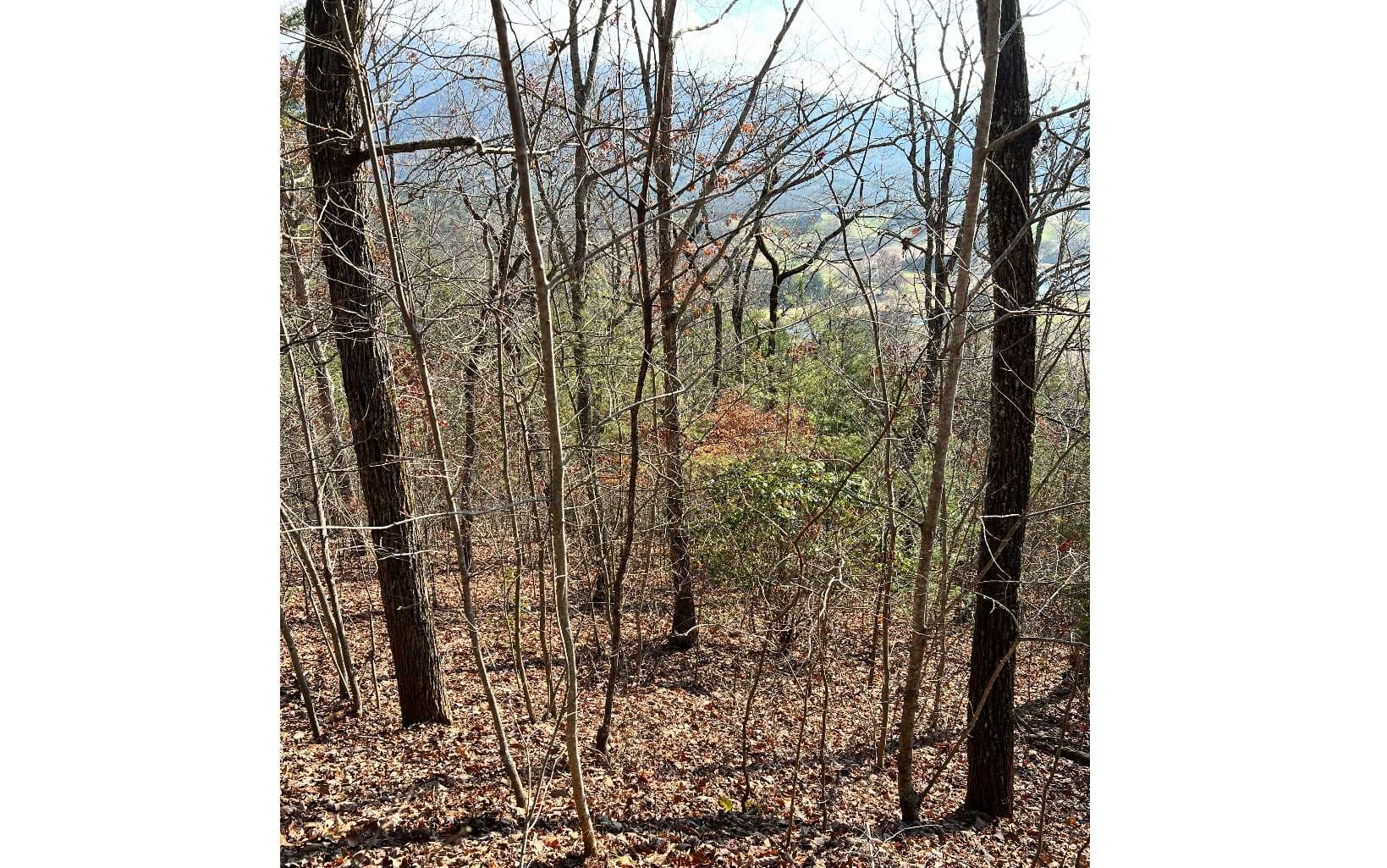 56C Indian Trail, Hayesville NC 28904 - Photo
