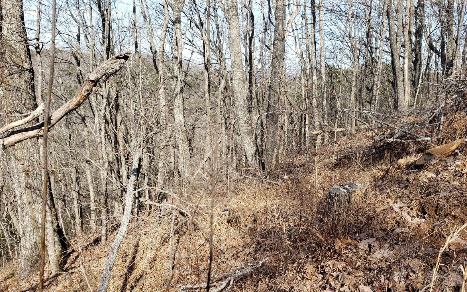 LT 28A Sassafras Ridge Road, Copperhill TN 37317 - Photo