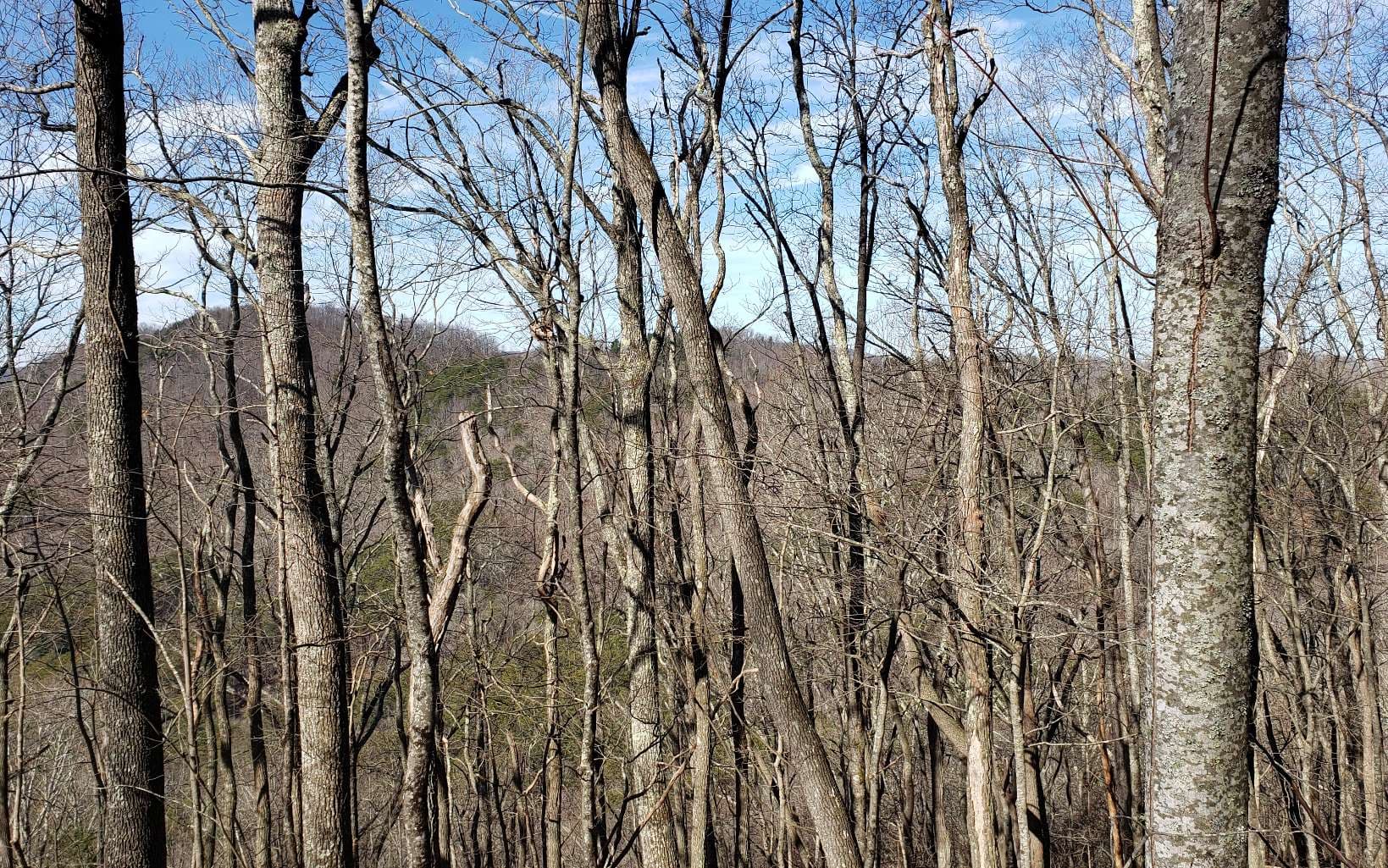 LT 28A Sassafras Ridge Road, Copperhill TN 37317 - Photo