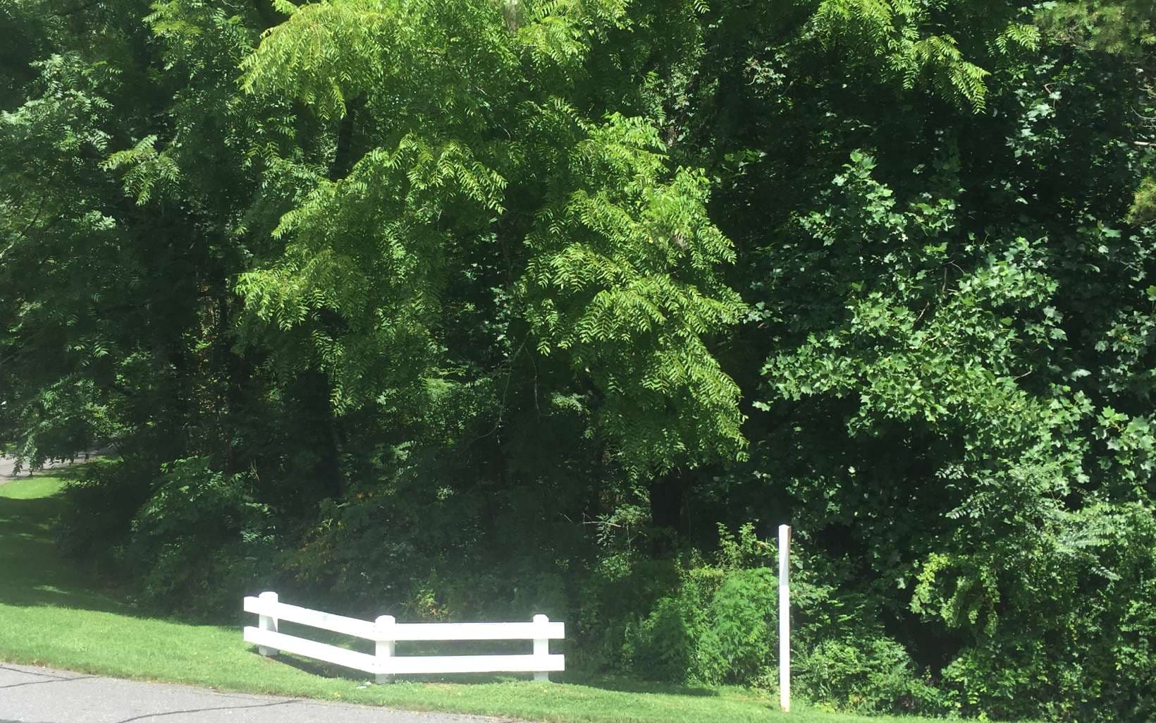 2 & 3 Chatuge Village Drive, Hayesville NC 28904 - Photo