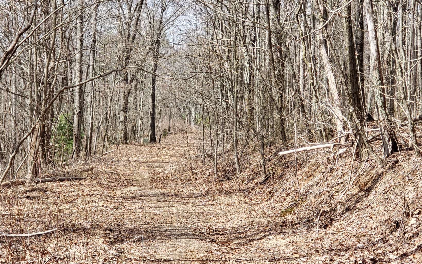 LT 35 Calvender Road, Turtletown TN 37317 - Photo