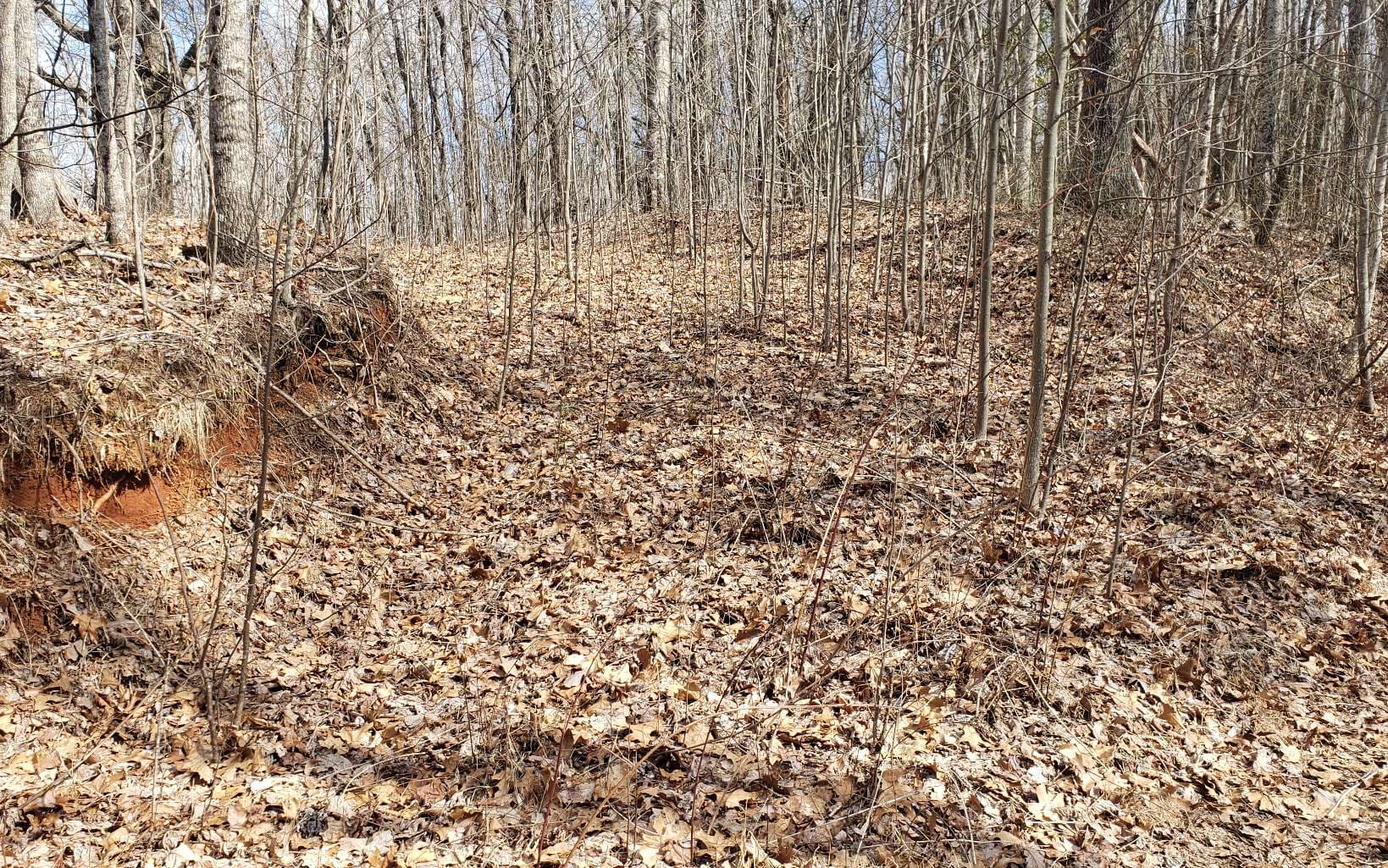 LT 35 Calvender Road, Turtletown TN 37317 - Photo