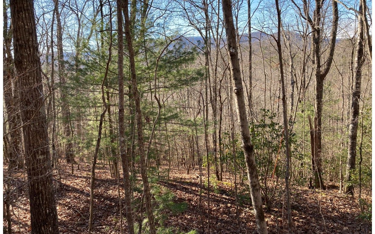 31 High Ridge Road, Murphy NC 28906 - Photo