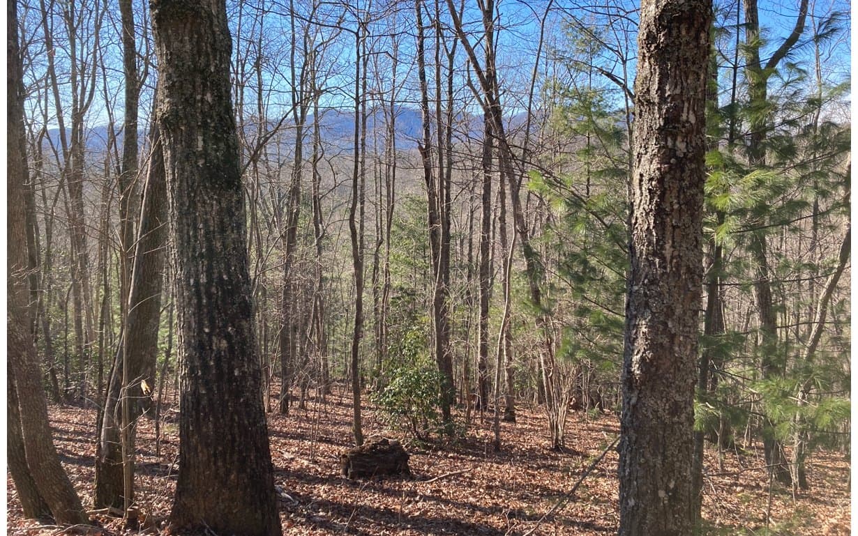 31 High Ridge Road, Murphy NC 28906 - Primary photo
