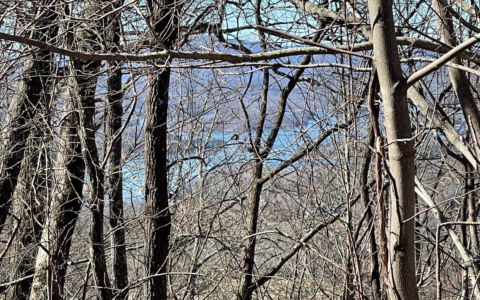 Lot 14 Mountain Harbour Drive, Hayesville NC 28904 - Photo