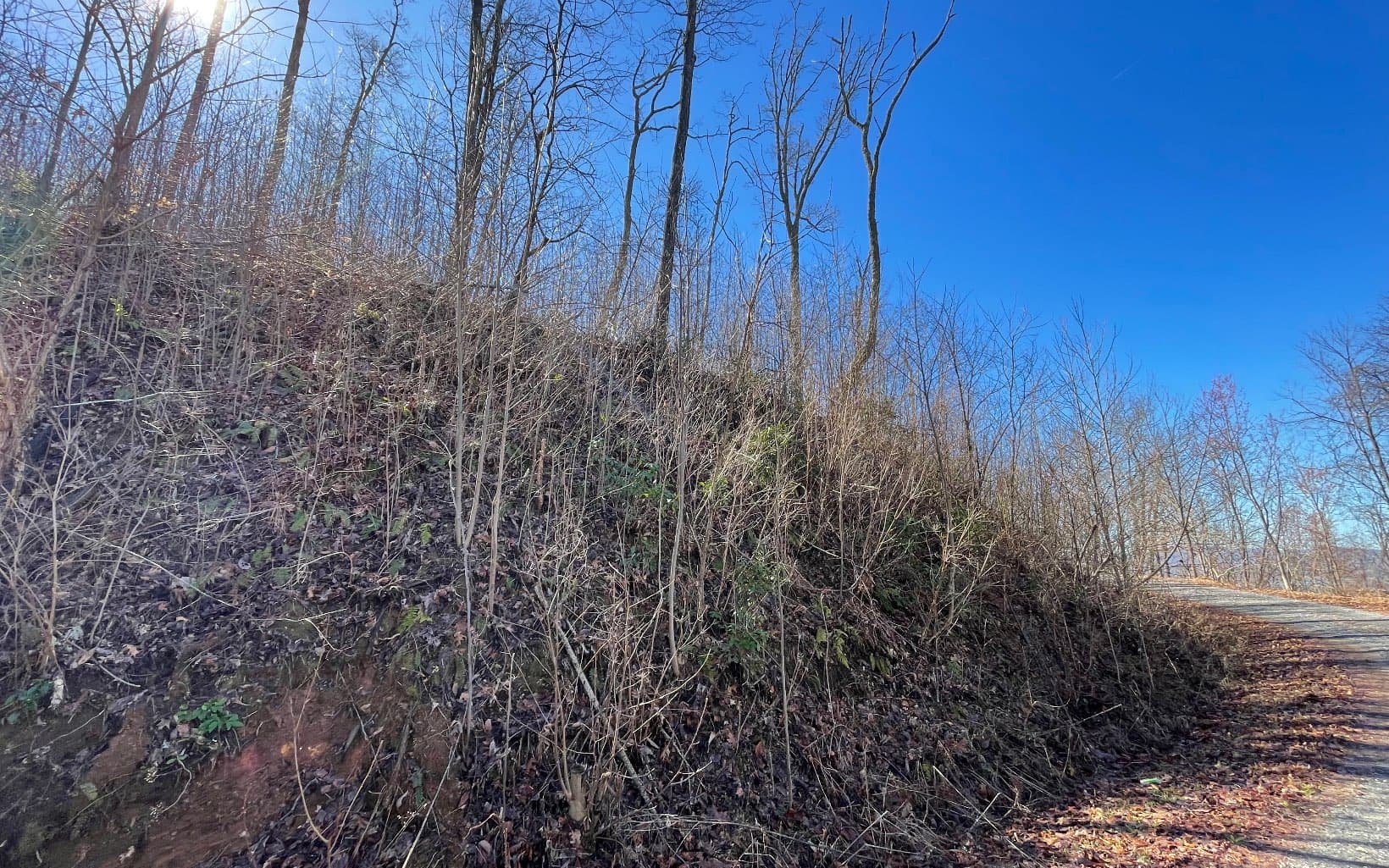 Lot 14 Mountain Harbour Drive, Hayesville NC 28904 - Photo
