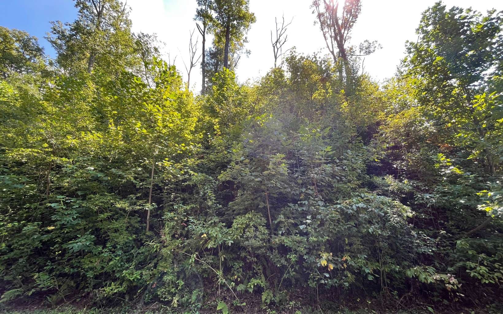 Lot 14 Mountain Harbour Drive, Hayesville NC 28904 - Photo
