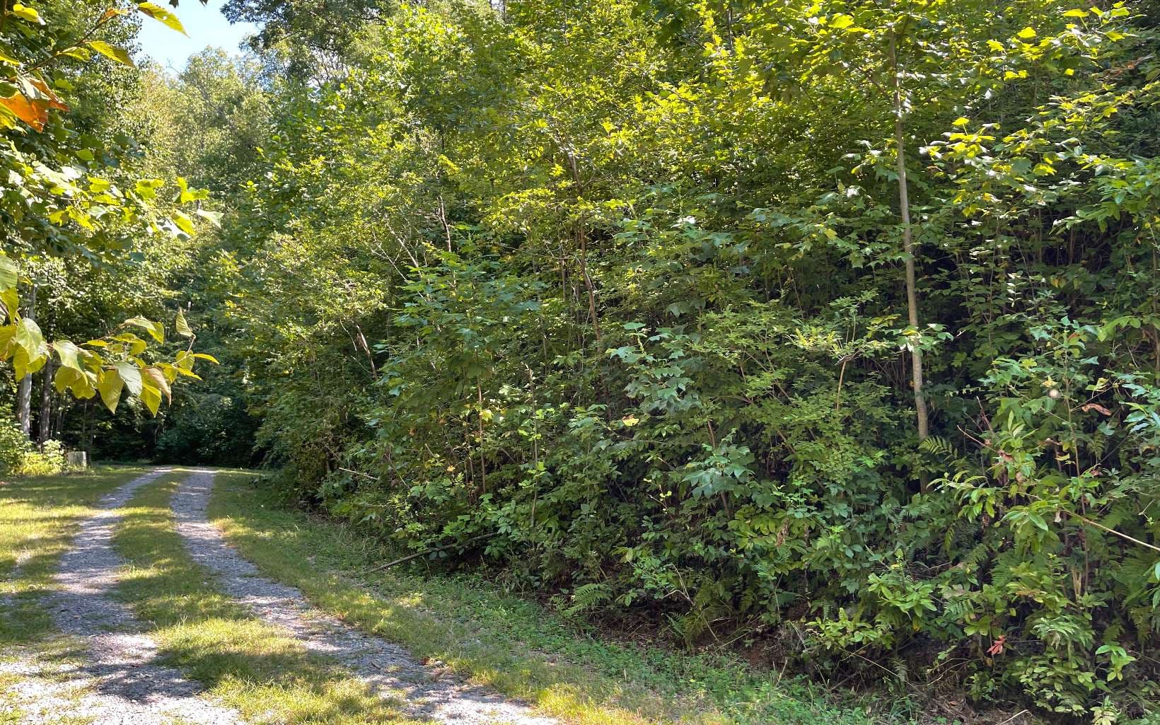 Lot 14 Mountain Harbour Drive, Hayesville NC 28904 - Photo