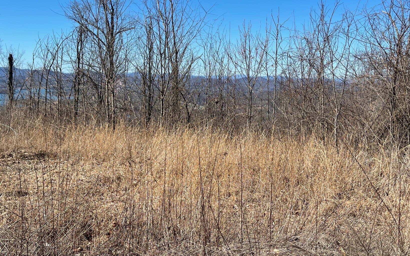 Lot 14 Mountain Harbour Drive, Hayesville NC 28904 - Photo