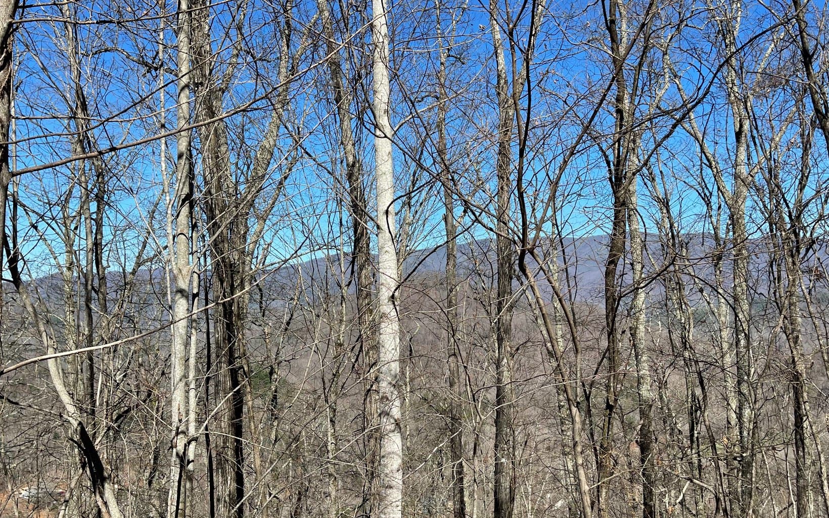 Lot 14 Mountain Harbour Drive, Hayesville NC 28904 - Photo