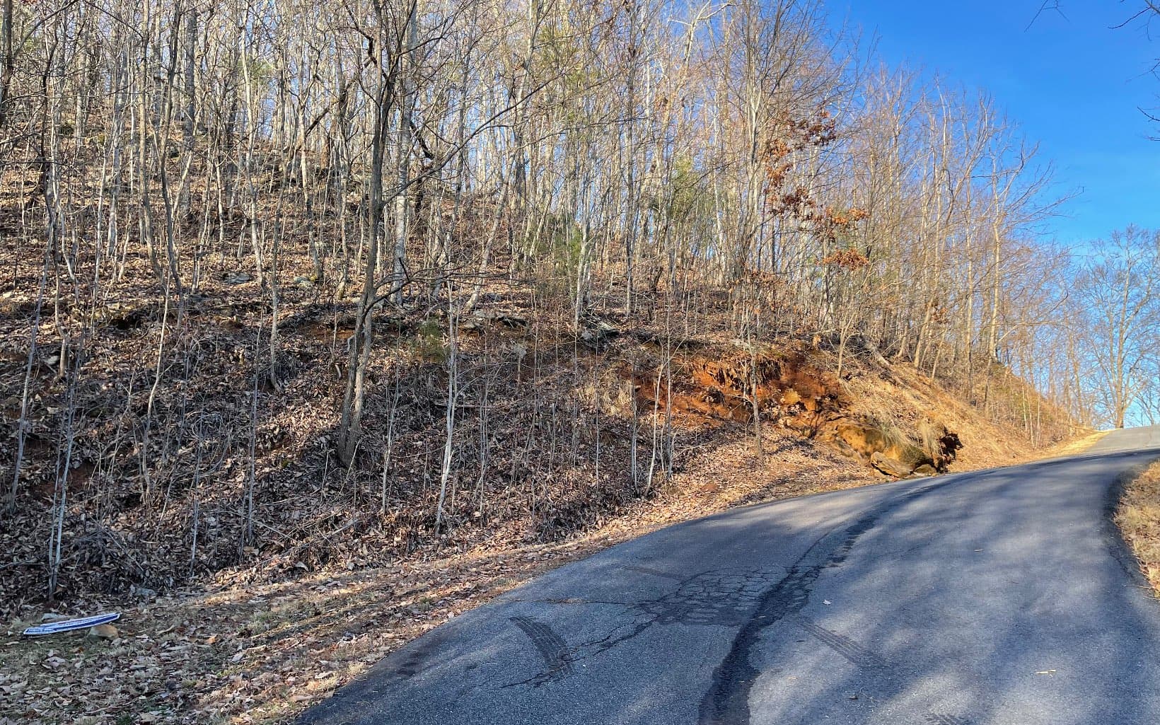 Lot 34 Overlook At Yh, Young Harris GA 30582 - Photo