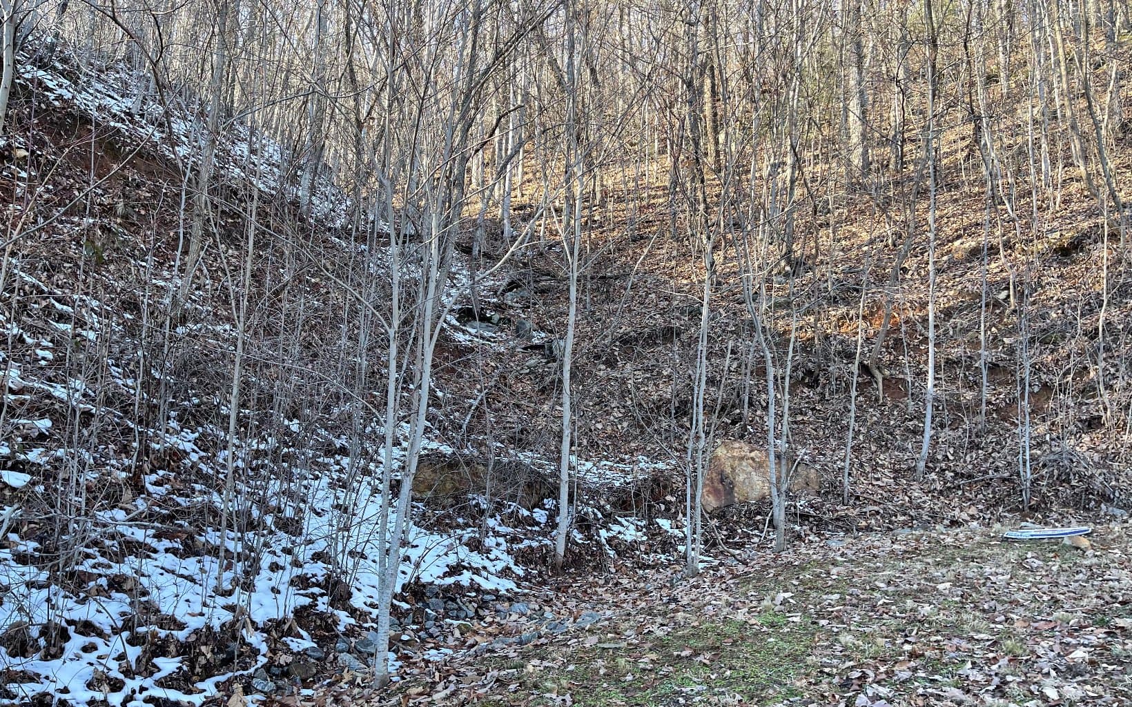 Lot 34 Overlook At Yh, Young Harris GA 30582 - Photo