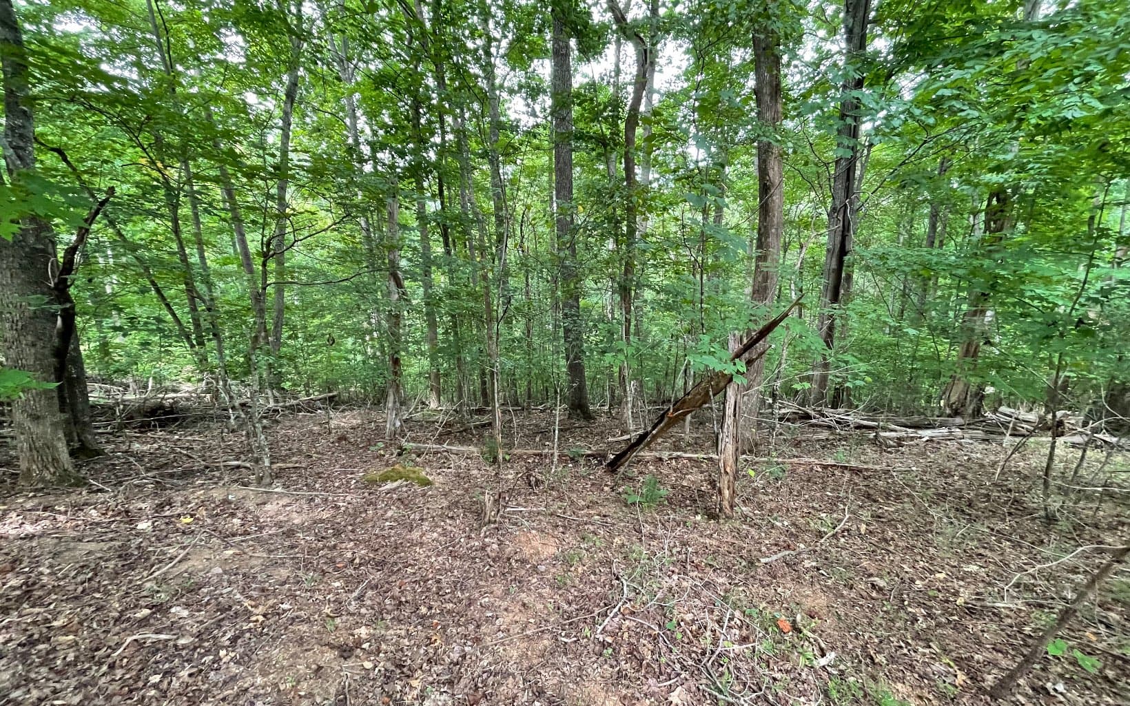 Lot 3 Morgan Creek, Ph Ii, Young Harris GA 30582 - Photo
