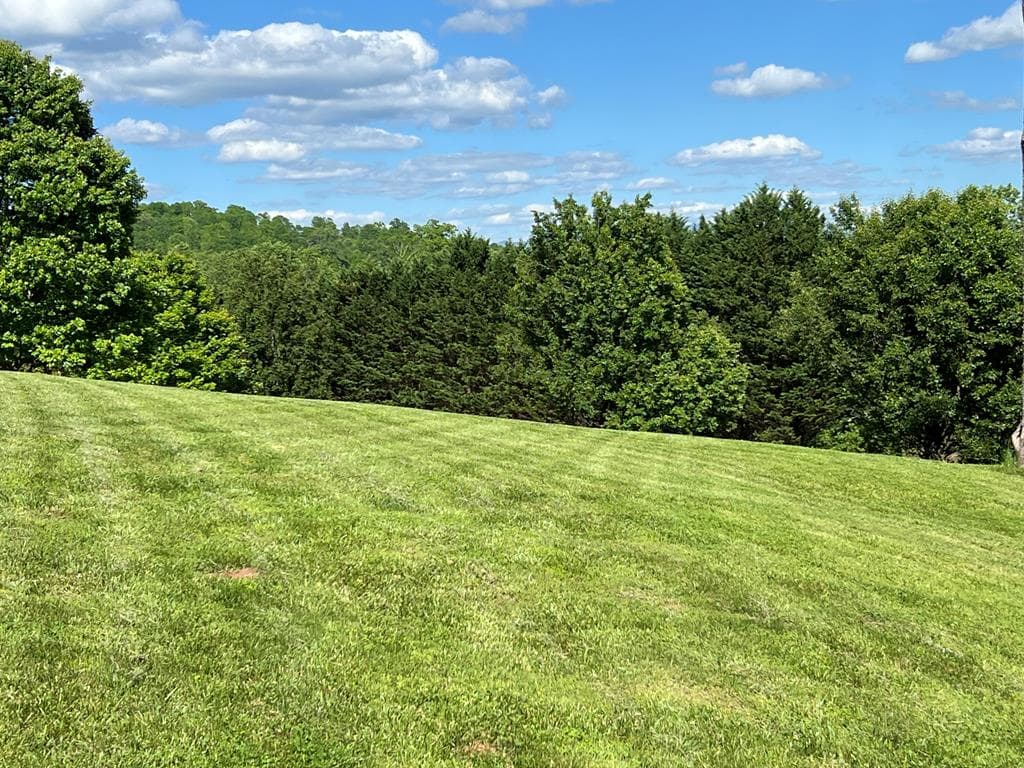 Lot 8 Cabin Drive, Hayesville NC 28904 - Photo