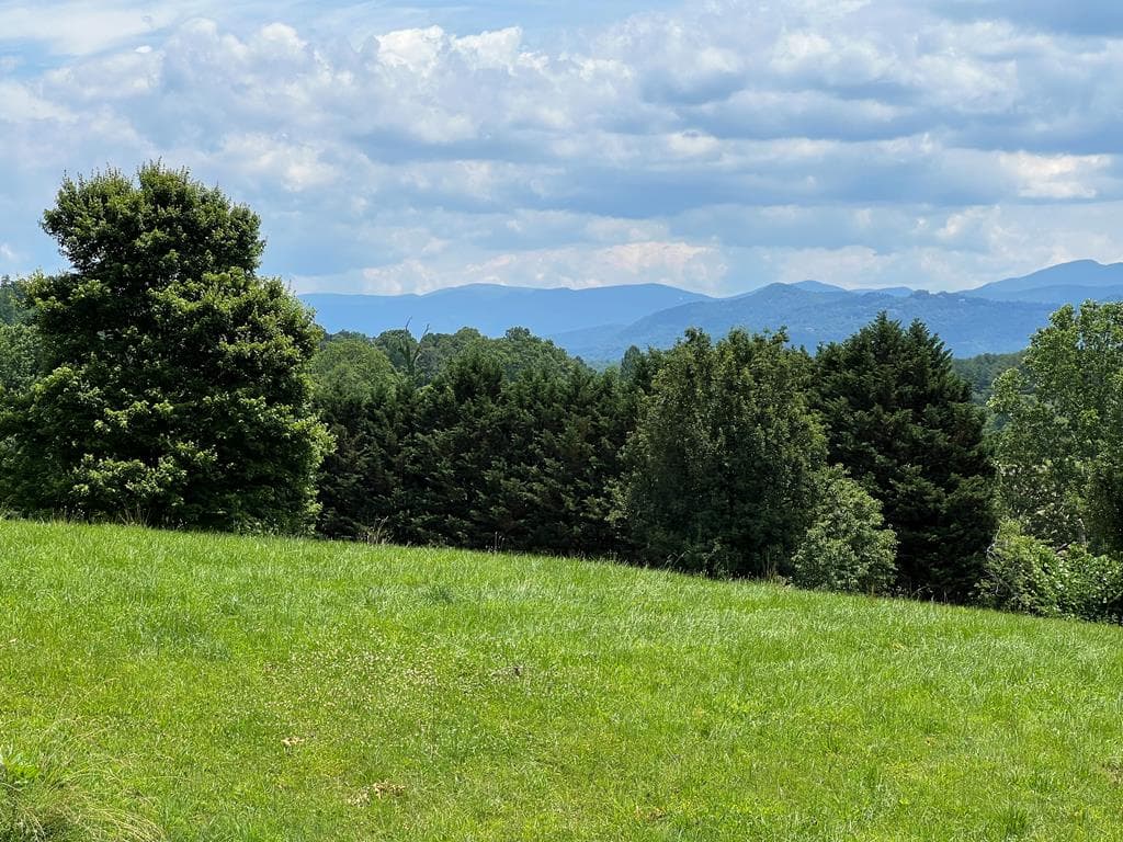 Lot 8 Cabin Drive, Hayesville NC 28904 - Photo
