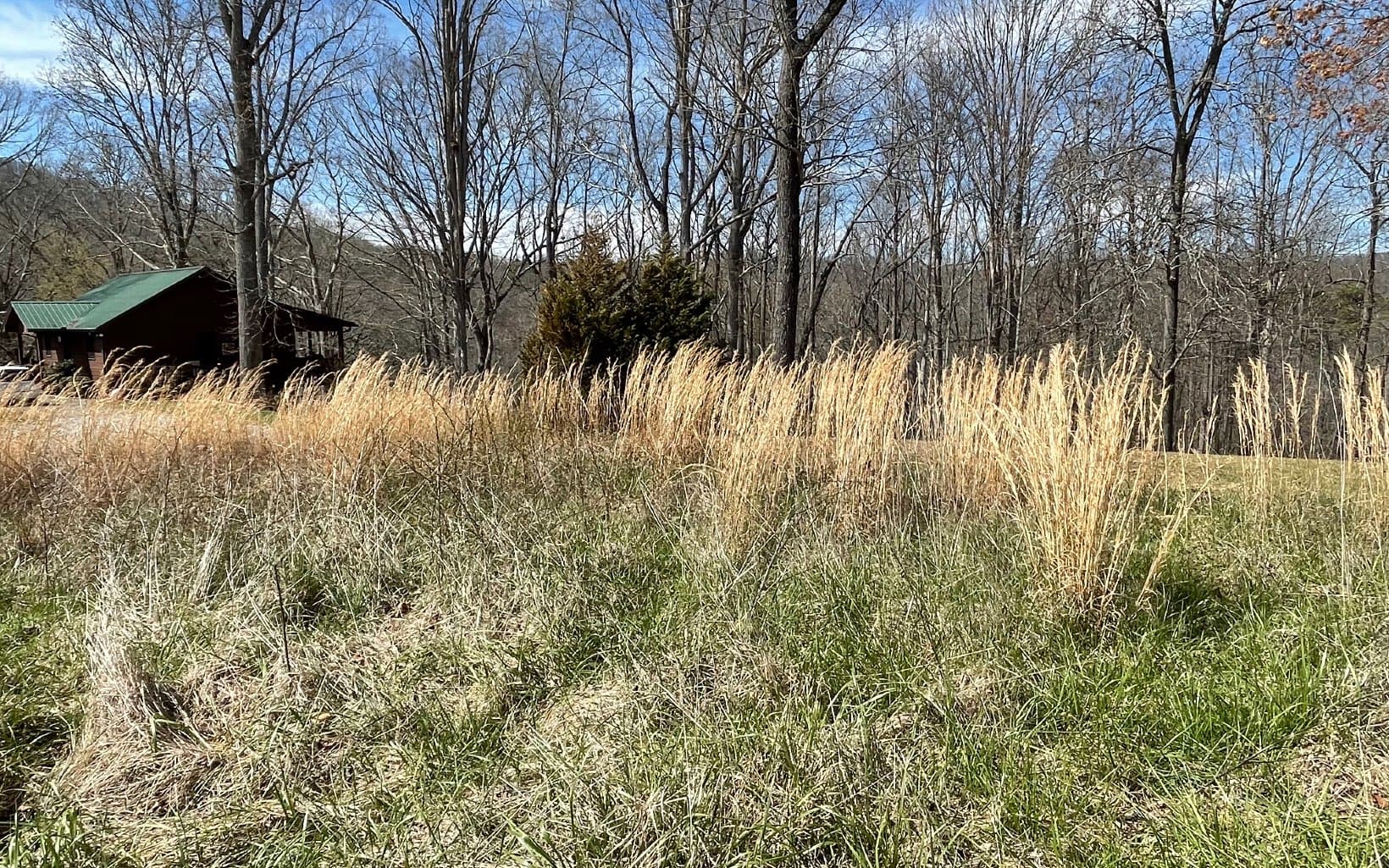 Lot 8 Cabin Drive, Hayesville NC 28904 - Photo