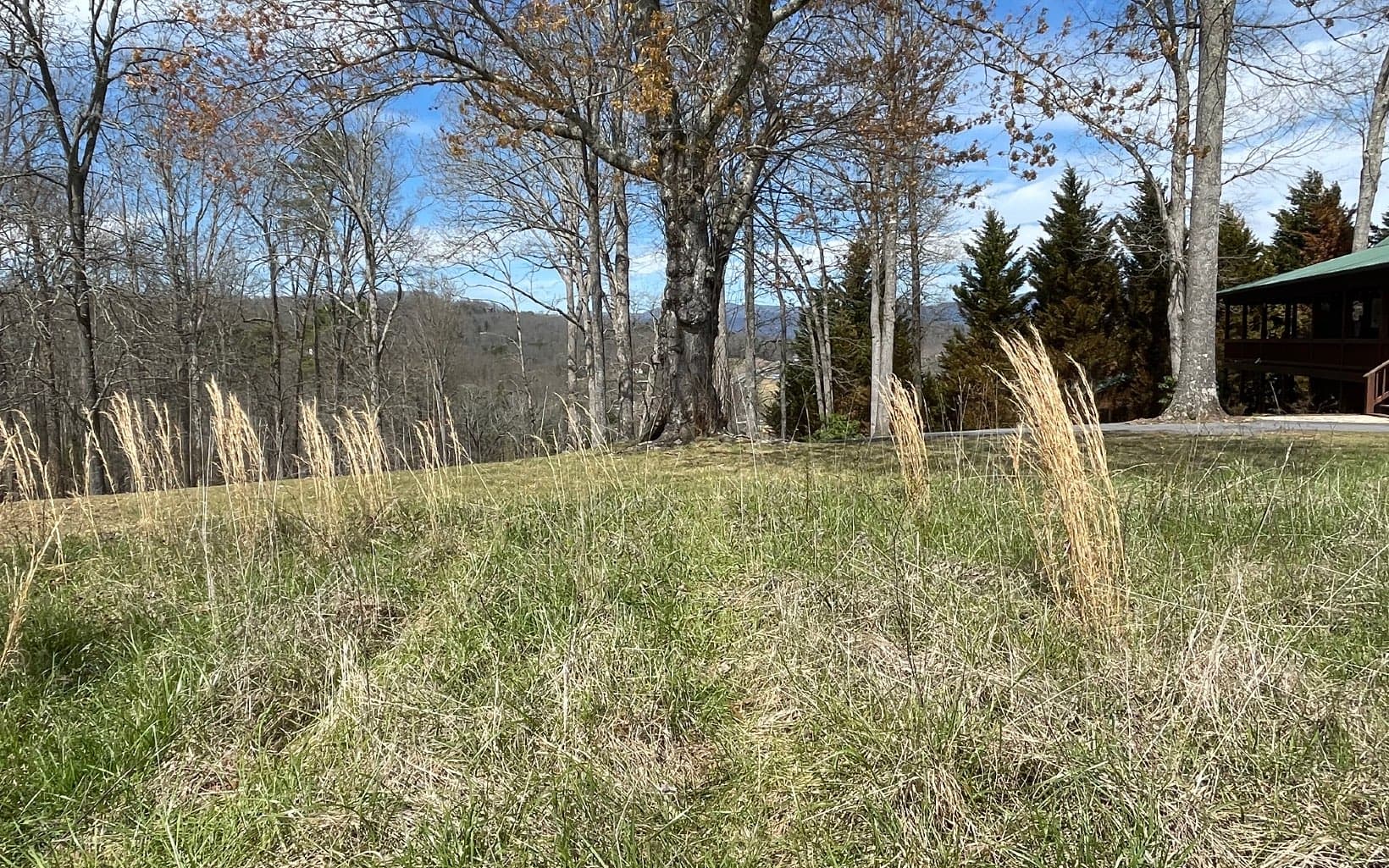 Lot 8 Cabin Drive, Hayesville NC 28904 - Photo