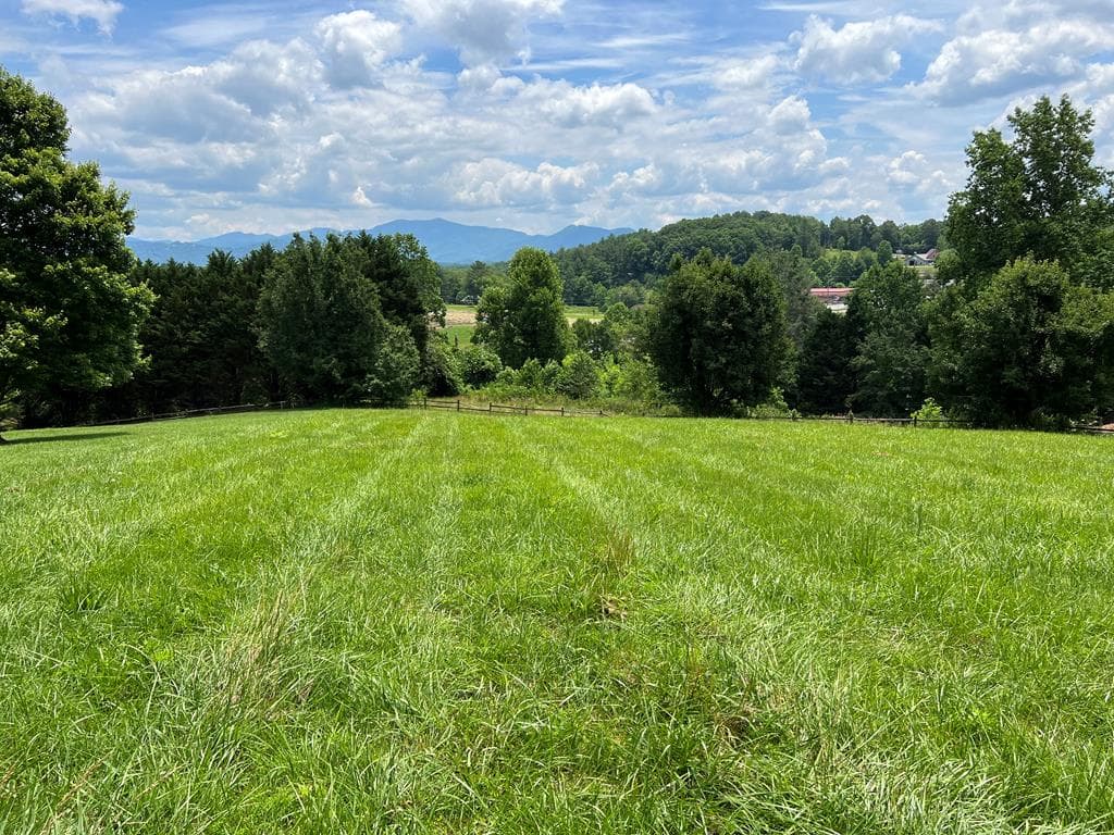 Lot 8 Cabin Drive, Hayesville NC 28904 - Photo